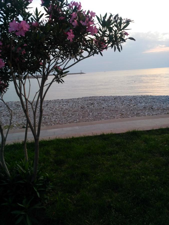 Apartmani Begovic Bar Εξωτερικό φωτογραφία